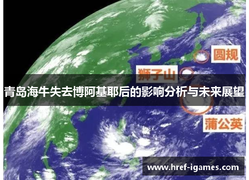 青岛海牛失去博阿基耶后的影响分析与未来展望